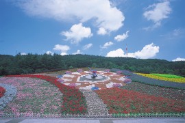 「花風景」ハナックと花ロード