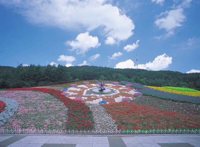 「花風景」ハナックと花ロード